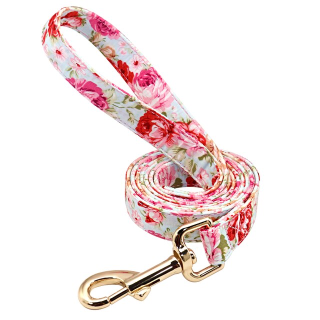 Personalisiertes bedrucktes Hundehalsband- und Leinen-Set